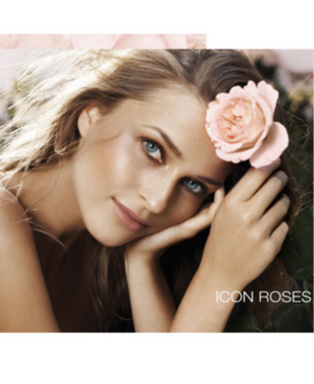 מי גוף ICON ROSES בניחוח נשי פרחוני |GA-DE 250 מ"ל