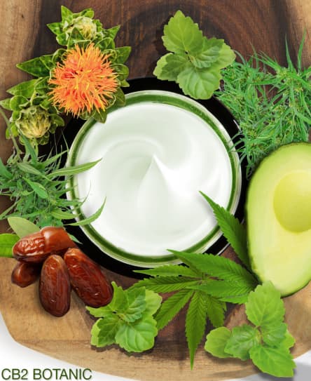 קרם לחות CB2 BOTANIC