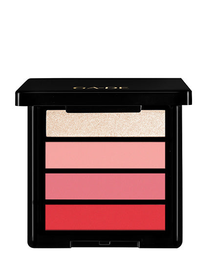 פלטה לפנים BLUSH & HIGHLIGHTER
